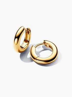 Pandora Round Hoop Earrings